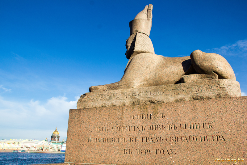 Египетские сфинксы в Санкт-петербурге