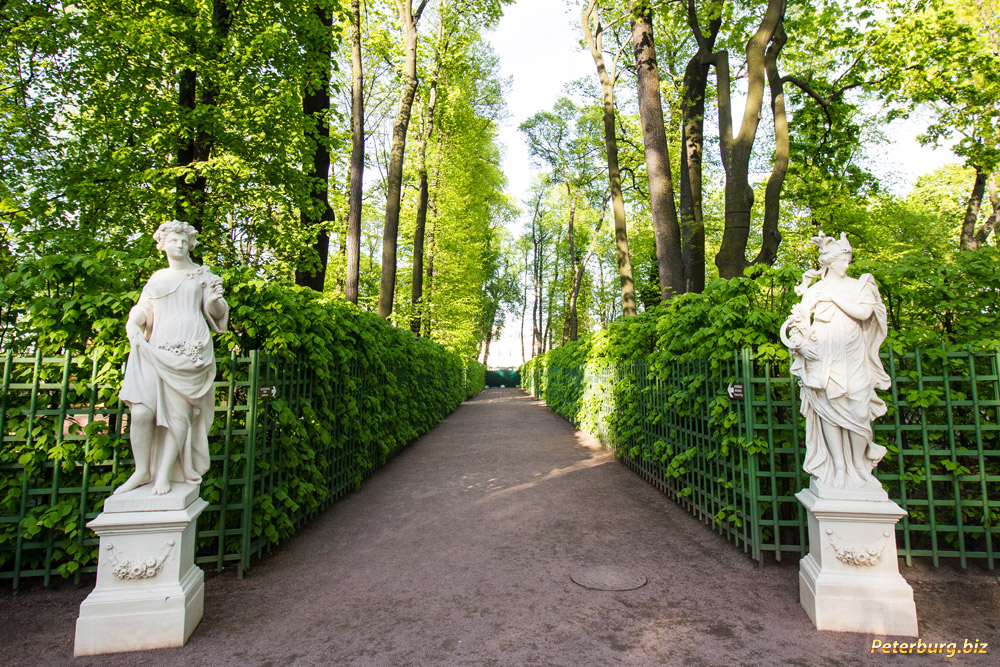 Летний Сад В Санкт Петербурге Фото