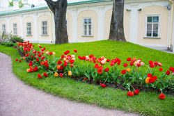 Ораниенбаум в Санкт-Петербурге