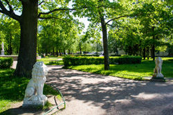 Парк в Павловске (Санкт-Петербург)