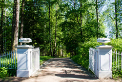 Парк в Павловске (Санкт-Петербург)