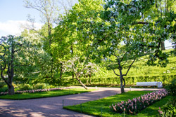 Петергоф - Нижний парк, оранжерейный сад