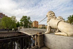 Фотографии мостов в Санкт-Петербурге - Львиный мост