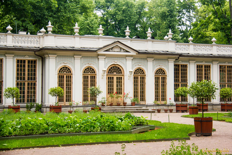 Фотографии садов и парков в Санкт-Петербурге - Летний сад