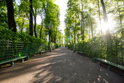 Маршрут прогулки по Санкт-Петербургу на 1 день - Летний сад