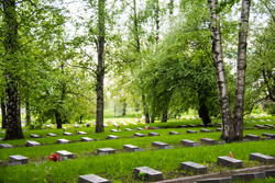 Пискаревское кладбище в Санкт-Петербурге