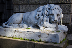 Львы на набережной Макарова в Санкт-Петербурге