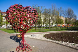 Дерево любви в Санкт-Петербурге