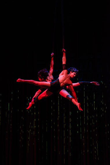 27 апреля - 8 мая 2016 - Cirque du Soleil с шоу Varekai в Ледовом Дворце в Санкт-Петербурге