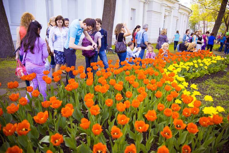 17 мая 2014 - «Фестиваль тюльпанов» на Елагином острове в Санкт-Петербурге