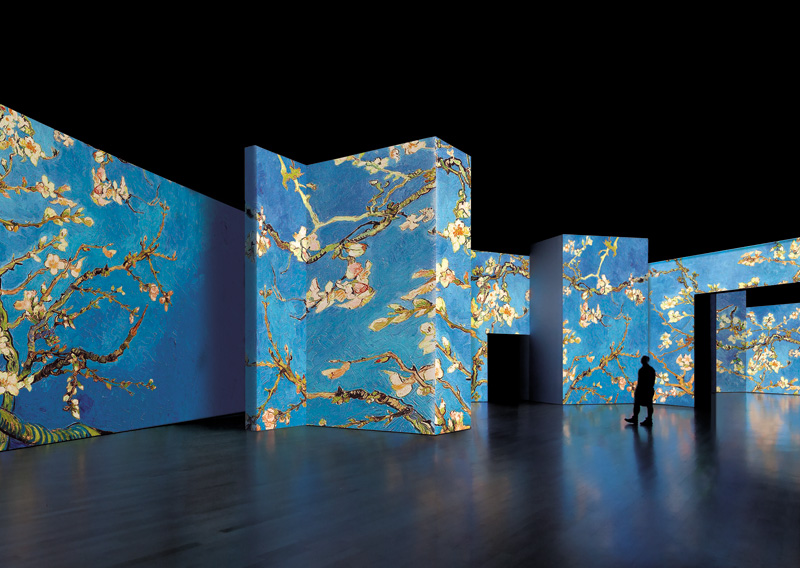 26 мая 2014 - открытие мультимедийной выставки «Ван Гог. Ожившие полотна» в Санкт-Петербурге