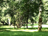 Пискаревский парк в Петербурге